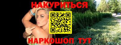 apvp Бийск