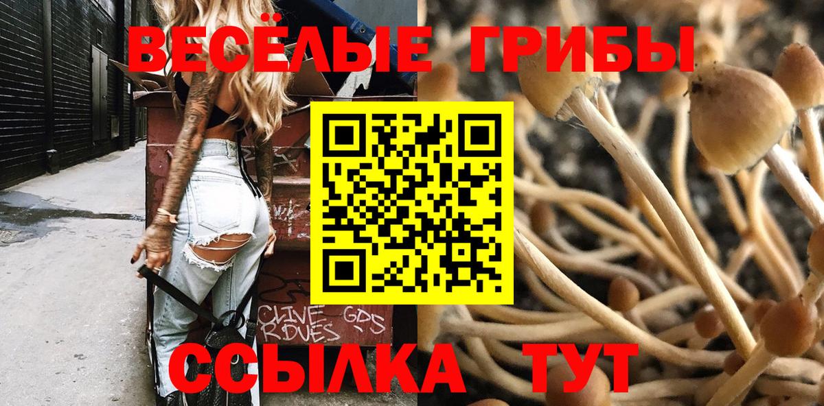 Галлюциногенные грибы Psilocybe Ивантеевка