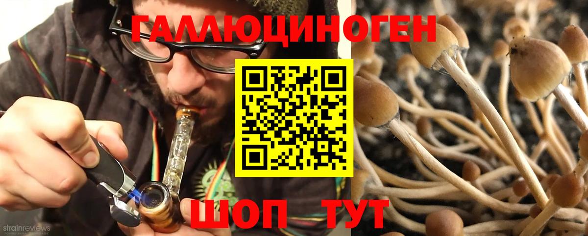 Псилоцибиновые грибы GOLDEN TEACHER  Вход с VPN  Галлюциногенные грибы GOLDEN TEACHER  Ивантеевка 